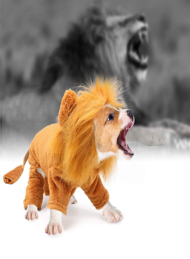 Rypet Dog Lion Costume Pet Clothes for Halloween Party Simulation Lion Pets Outfits Cosplay Dress up Clothes Pet Lions Hoodie Cat Costume for Party - Image 5